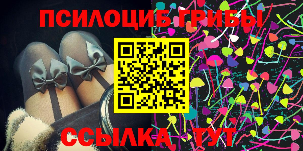 купить наркотик  Псилоцибиновые грибы Psilocybe  Вход с VPN  Псилоцибиновые грибы мицелий  Тихвин 